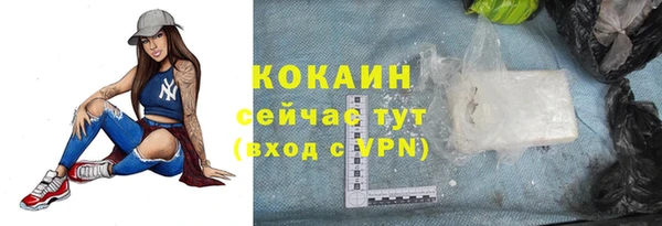 mdpv Инта