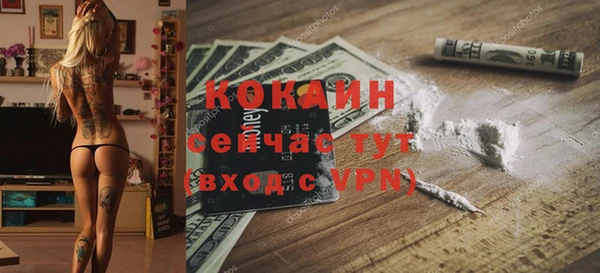 mdpv Инта